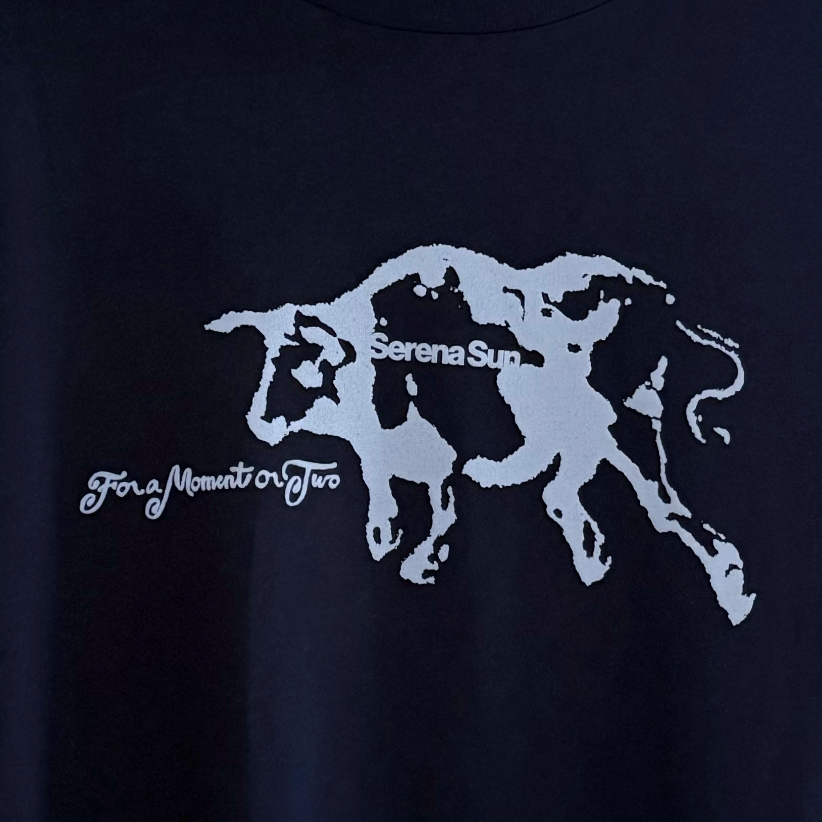 Running with the Bulls - Navy Cotton Tee